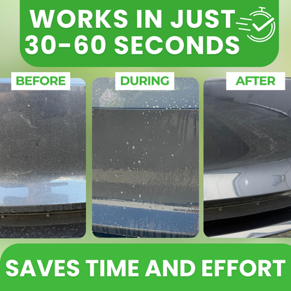 CyberSudZ Bug Remover for Cars Exterior - 16 fl. oz.